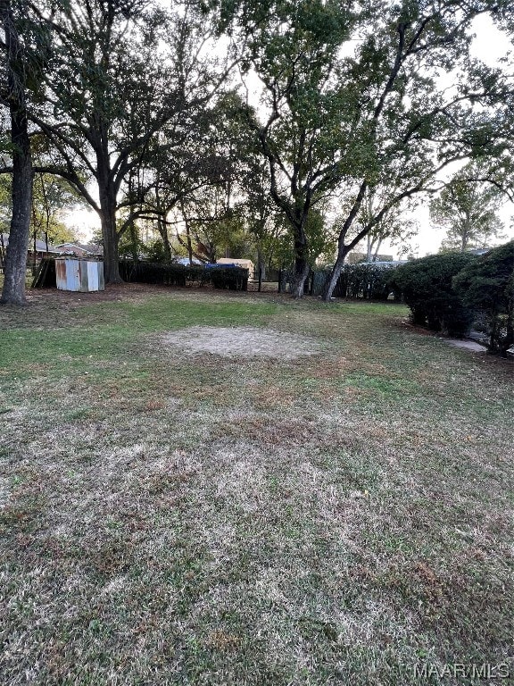 view of yard with a storage unit