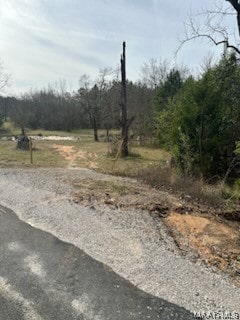 11120 Old Pike Rd, Mathews AL, 36052 land for sale