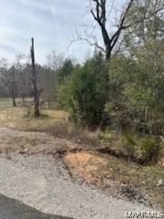 Listing photo 2 for 11120 Old Pike Rd, Mathews AL 36052