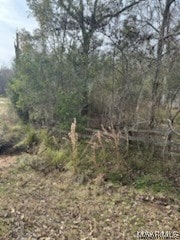 Listing photo 3 for 11120 Old Pike Rd, Mathews AL 36052