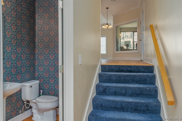 stairs featuring a notable chandelier, ornamental molding, hardwood / wood-style floors, and sink