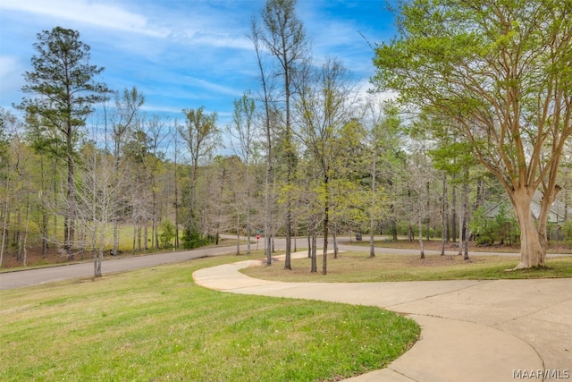 view of property's community featuring a lawn