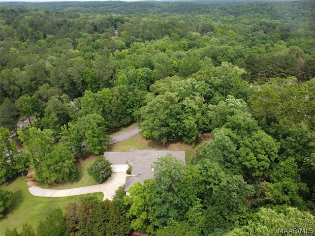 view of bird's eye view