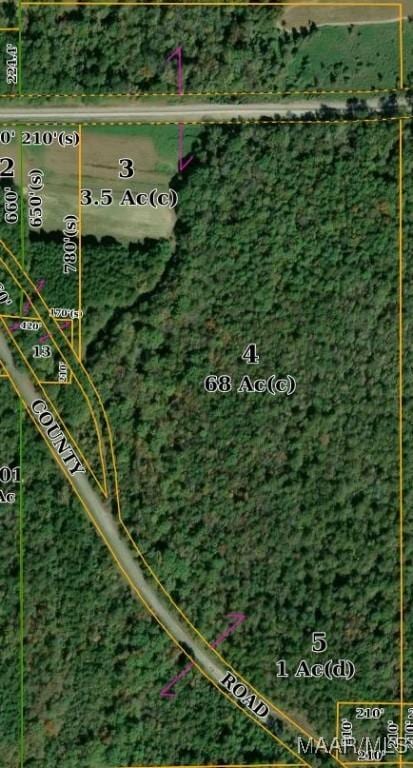 0000 County Road 8, Tuskegee, AL 36083 - photo 2