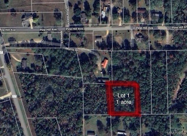 LOT1 Morris Ct, Hayneville AL, 36040 land for sale