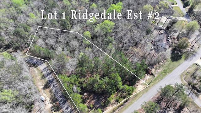 1 Ridgedale Ln Unit 2, Deatsville AL, 36022 land for sale