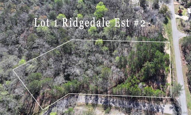 Listing photo 2 for 1 Ridgedale Ln Unit 2, Deatsville AL 36022