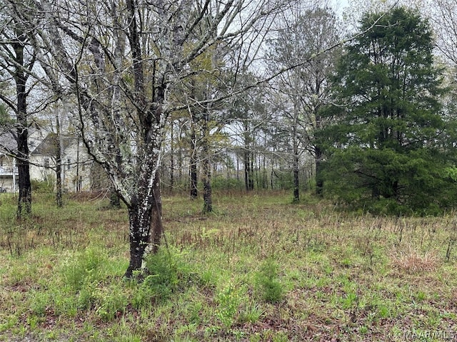 LOT15 Plantation Dr, Selma AL, 36702 land for sale