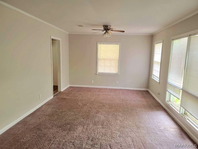 carpeted spare room with ceiling fan, a wealth of natural light, and ornamental molding