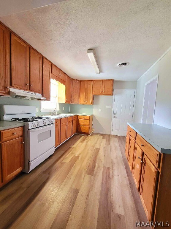 kitchen featuring light hardwood / wood-style flooring, sink, white range with gas cooktop, and a textured ceiling