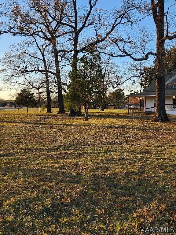 view of yard featuring covered porch