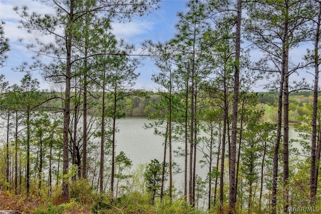 Lot9,10 Riverknolle Road, Tallassee AL, 36078 land for sale