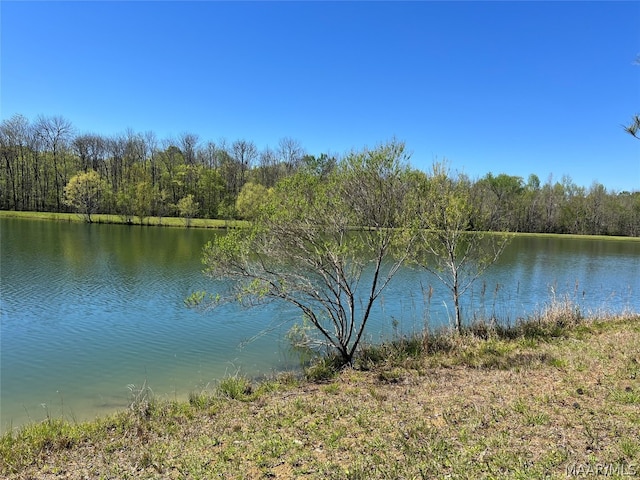 LOT1 Leahmon Ln, Mathews AL, 36052 land for sale