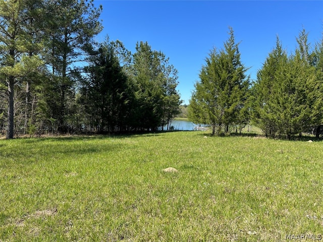 Listing photo 3 for LOT1 Leahmon Ln, Mathews AL 36052