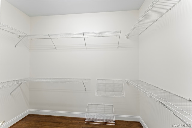 spacious closet featuring dark hardwood / wood-style flooring