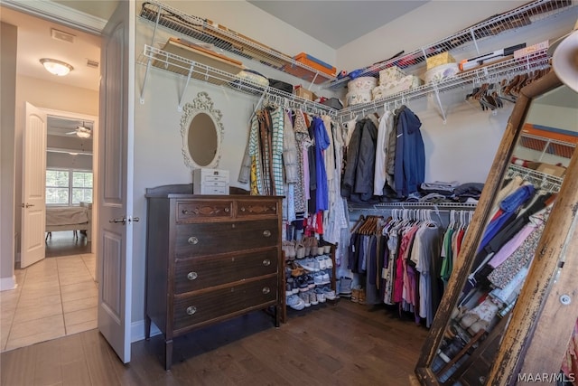 walk in closet featuring ceiling fan and dark wood-type flooring