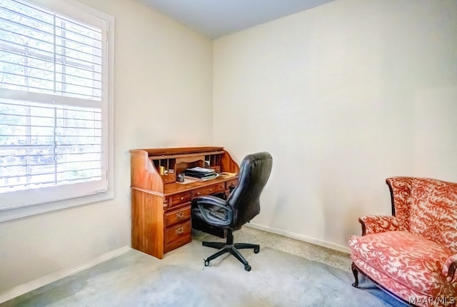 carpeted office space with plenty of natural light