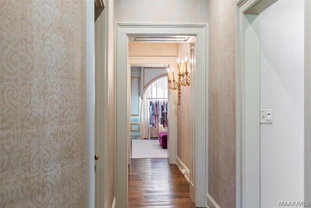 corridor with dark wood-type flooring