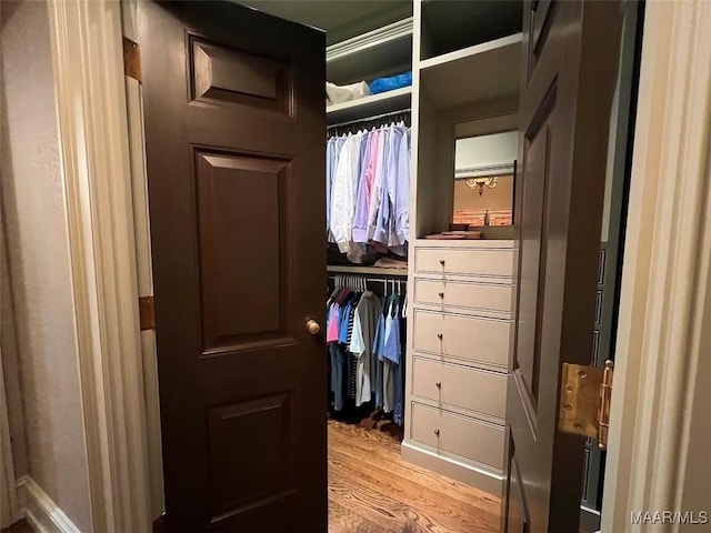 walk in closet featuring light wood-style flooring