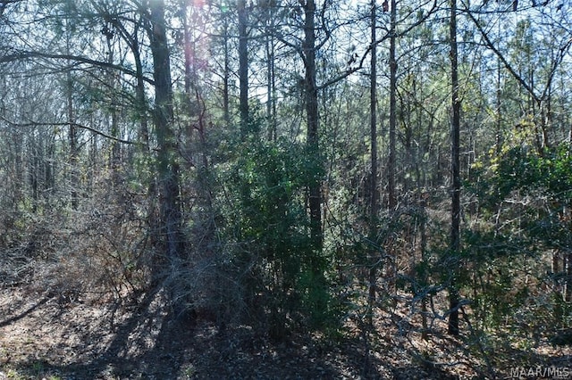 0 County Road 57, Prattville AL, 36067 land for sale