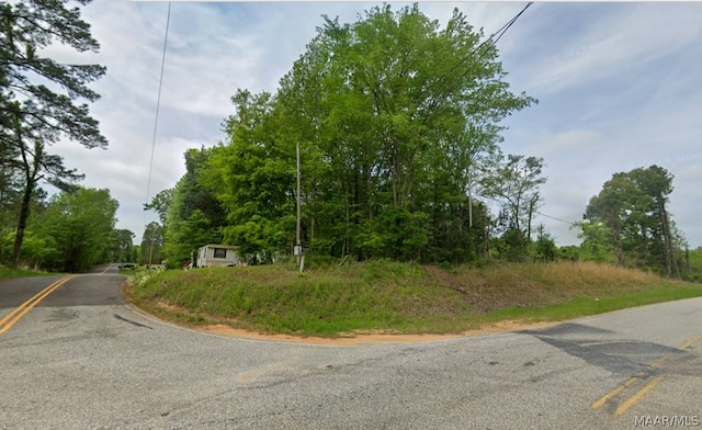 0 Pugh Rd, Mathews AL, 36052 land for sale