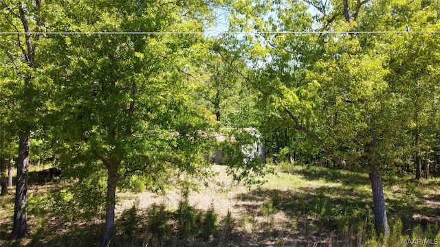 Listing photo 2 for 0 Old Pike Rd, Mathews AL 36052