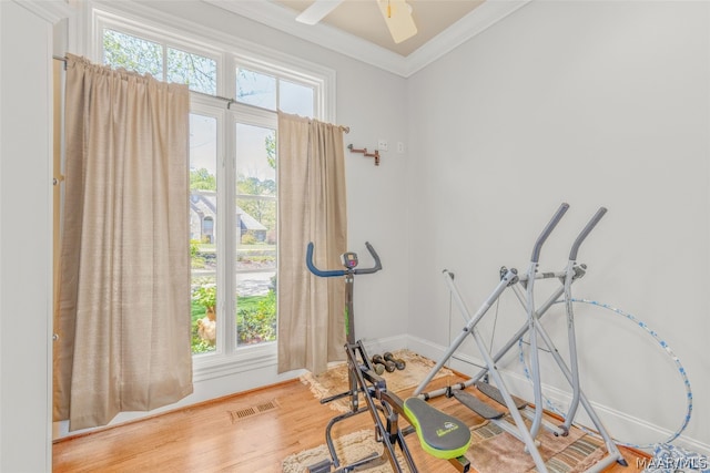 workout area with ornamental molding, a healthy amount of sunlight, ceiling fan, and light wood-type flooring