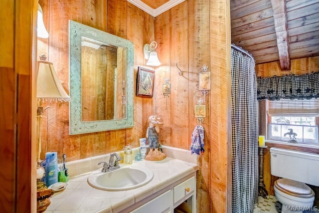 bathroom featuring vanity, toilet, and wooden walls