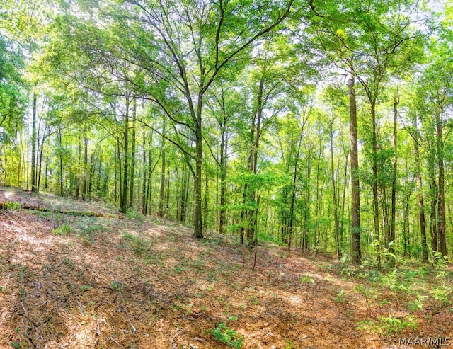 view of local wilderness