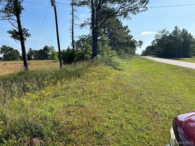 Listing photo 3 for 0 County Road 59, Verbena AL 36091