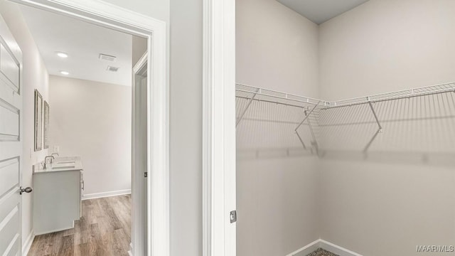 6601 Firefly Ln, Montgomery, AL 36116 - spacious closet with light wood-style floors