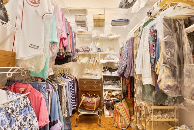 spacious closet featuring hardwood / wood-style floors