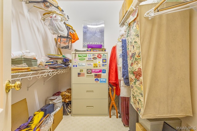 walk in closet with carpet