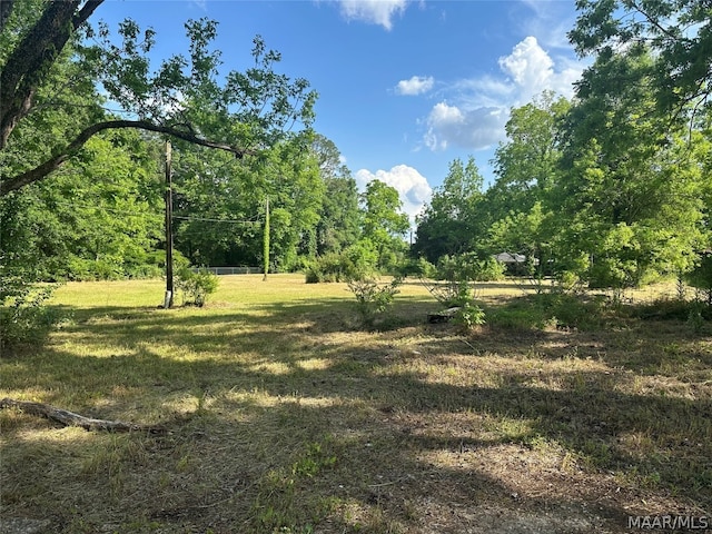 3770 Duncan Dr, Millbrook AL, 36054 land for sale