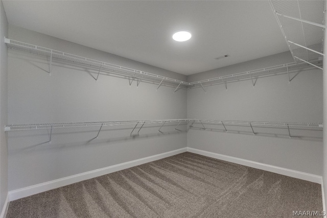 spacious closet featuring carpet flooring