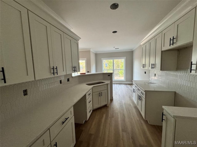 kitchen with sink, hardwood / wood-style floors, tasteful backsplash, ornamental molding, and white cabinets