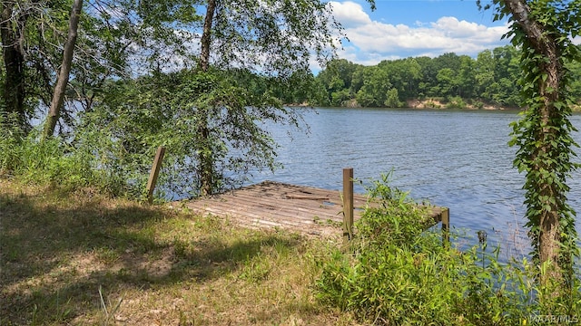 view of water feature featuring a boat dock