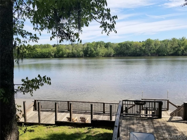 dock area with a water view