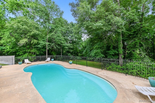 view of pool featuring a patio area