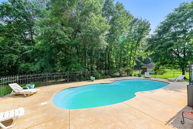 view of swimming pool featuring a patio area