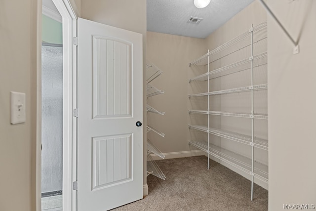 walk in closet featuring light colored carpet