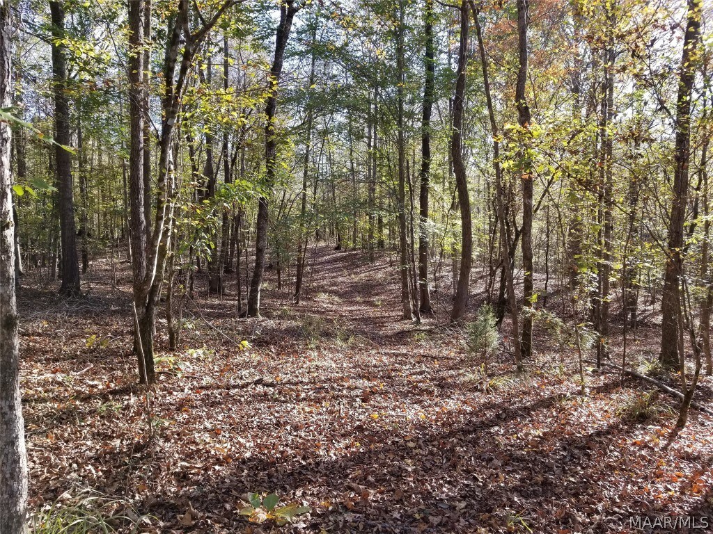 0 Lakeview Ct, Wetumpka, AL 36092 - photo 1
