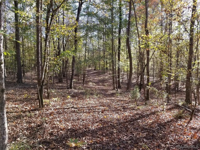 0 Lakeview Ct, Wetumpka, AL 36092