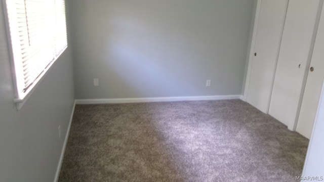 unfurnished bedroom featuring carpet flooring and a closet