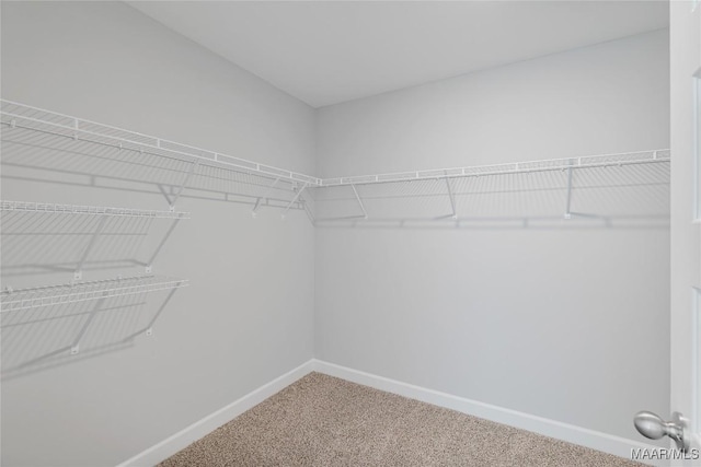 walk in closet with carpet