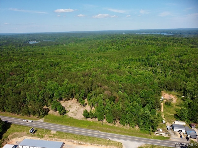 6107 Our Childrens Hwy, Alexander City AL, 35010 land for sale