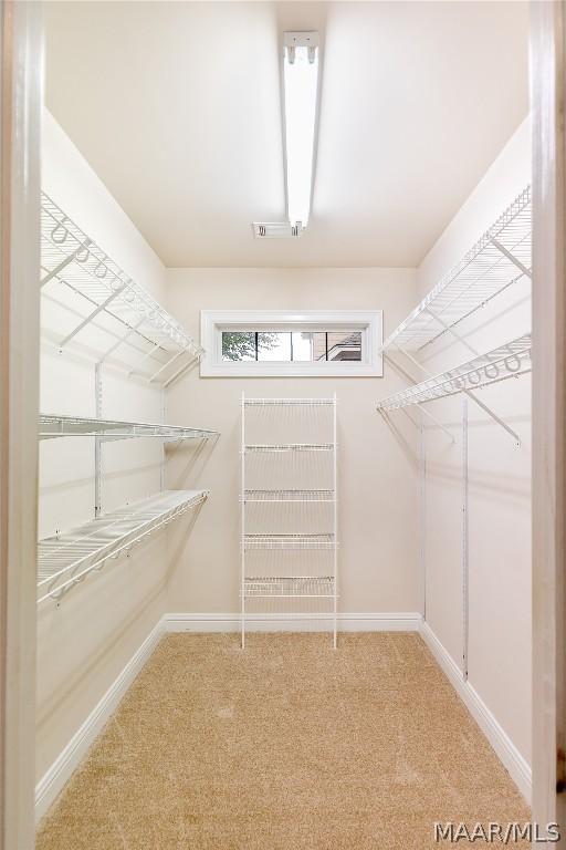 spacious closet with carpet floors