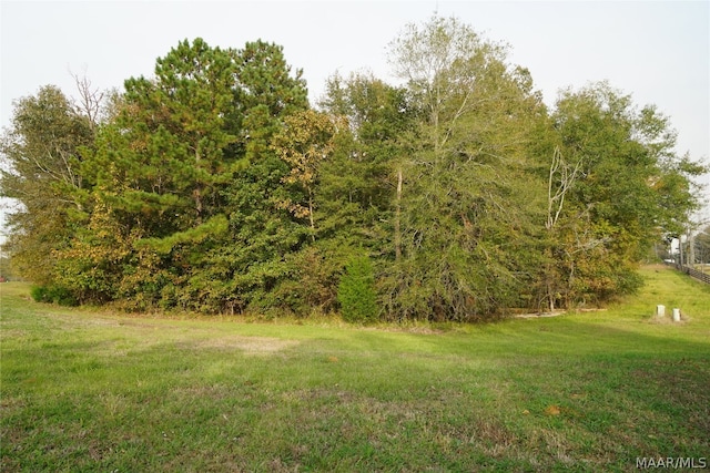 Listing photo 2 for 50 Woods N Water Lane, Mathews AL 36052