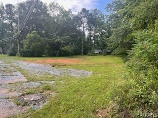 Listing photo 2 for 675 Gilmer Ave, Tallassee AL 36078