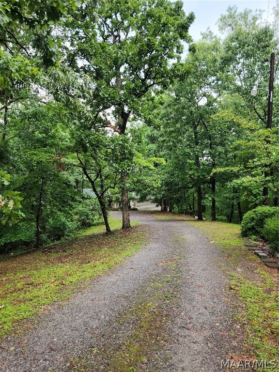 view of street